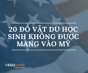 20 đồ vật du học sinh không được mang vào Mỹ