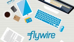 edushine flywine