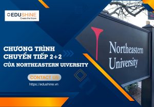 edushine chuong trinh chuyen tiep 2.2
