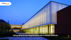 Không thể bỏ lỡ Học bổng lên tới $72,000 từ Adelphi University