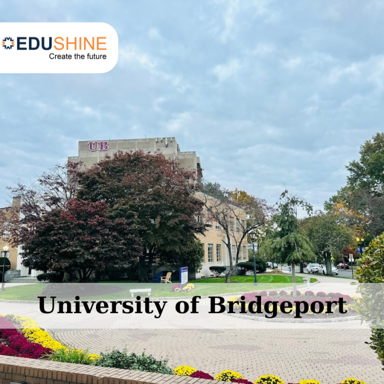 Trường University of Bridgeport - Giao Lưu Văn Hóa Toàn Cầu