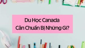 Du Học Canada Cần Chuẩn Bị Gì?