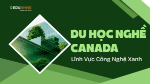 Du Học Nghề Canada Trong Lĩnh Vực Công Nghệ Xanh