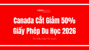 Canada Cat Giam 50 Giay Phep Du Hoc 2026 1 1
